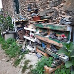 IMG-20220803-WA0043