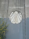 IMG-20220804-WA0081