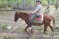 Campo8