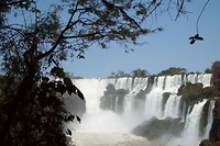 Iguacu6