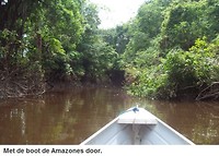 Amazone2