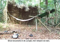 Amazone7