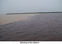 Manaus1