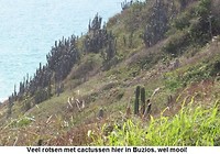 Buzios2