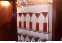 Buzios8