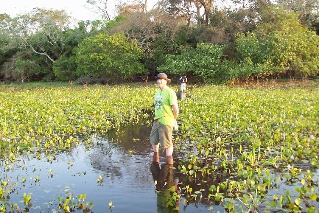 Pantanal (7)