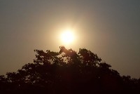 Pantanal (8)