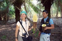Pantanal (15)