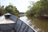 Pantanal (21)