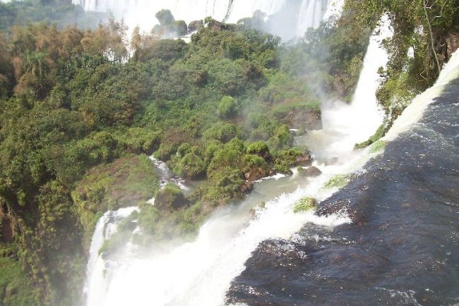 Iguazu (4)
