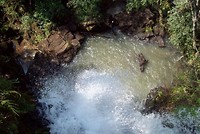 Iguazu (5)
