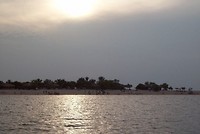 Alto (5)