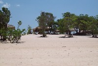 Alto (12)