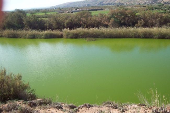 groene_rivier1