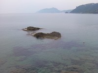 25 april 2011 (5)