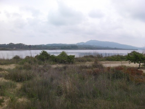 2 mei 2011 (3)