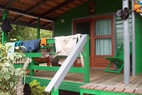 Amazone (3)