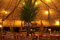 AMAZONE (13)