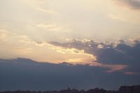 bUZ (1)