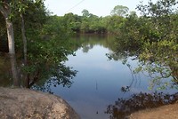 Campo Grande (2)