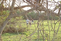 Panta (1)