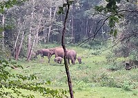 IMG-20231108-WA0017