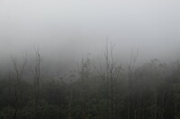IMG_1059