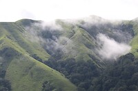 IMG_1139