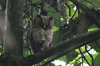 IMG_0976