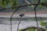 IMG_1010