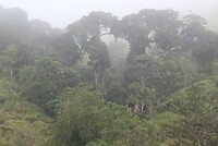 IMG_1062