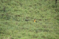 IMG_1089