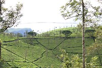 IMG_1163