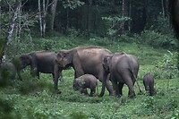IMG_1276