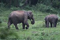 IMG_1282