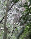 IMG_1291