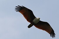 IMG_1388