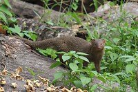 IMG_1409