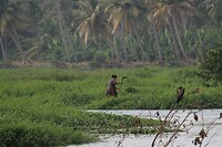 IMG_1466