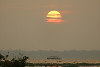 IMG_1542