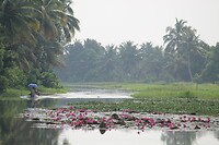 IMG_1634