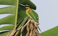 IMG_1719