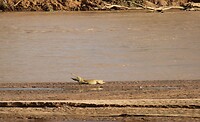 Samburu Dag 1 (33)