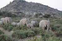 Samburu Dag 1 (46)