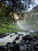 Thomson Falls (12)