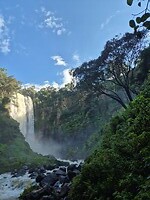 Thomson Falls (16)