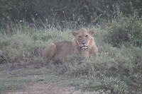 Nakuru (5)