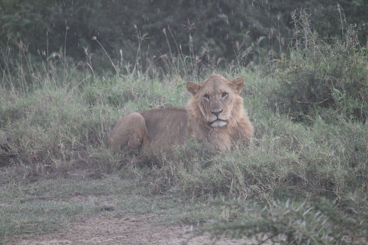 Nakuru (5)