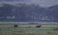 Nakuru (58)