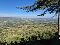 Nakuru NP (6)
